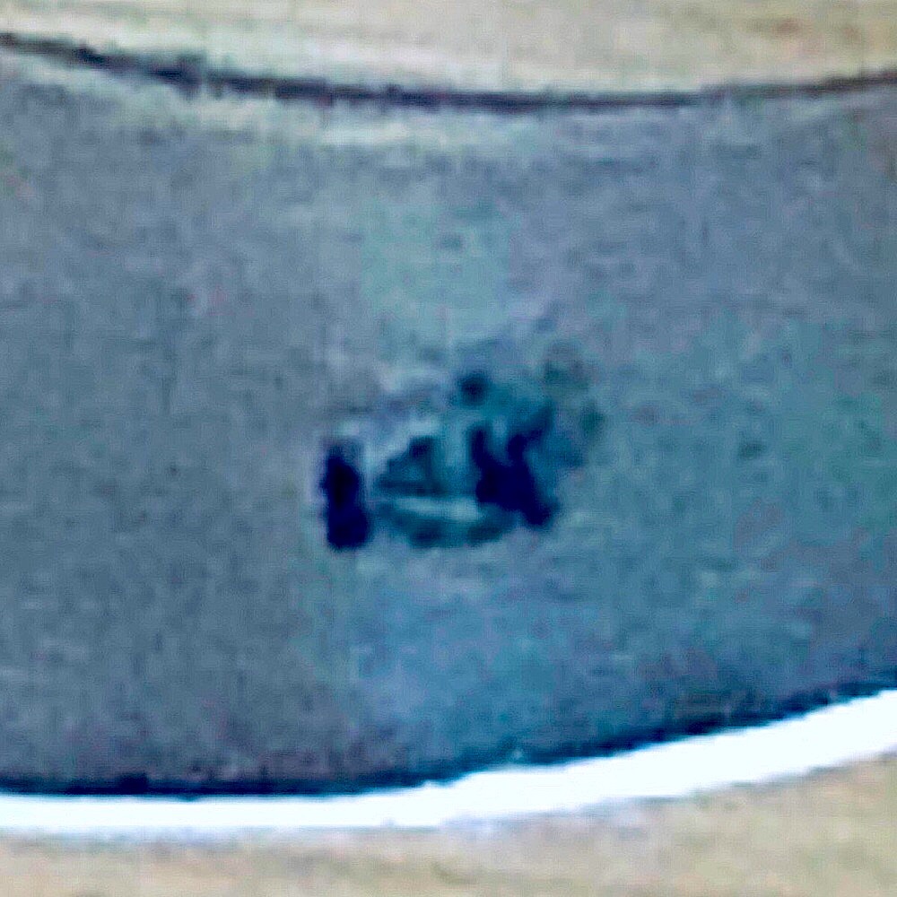 $564  14K White Gold & Fire Opal Estate Navajo Wedding Ring  Size 9 & 3/4  14K - Picture 2 of 8